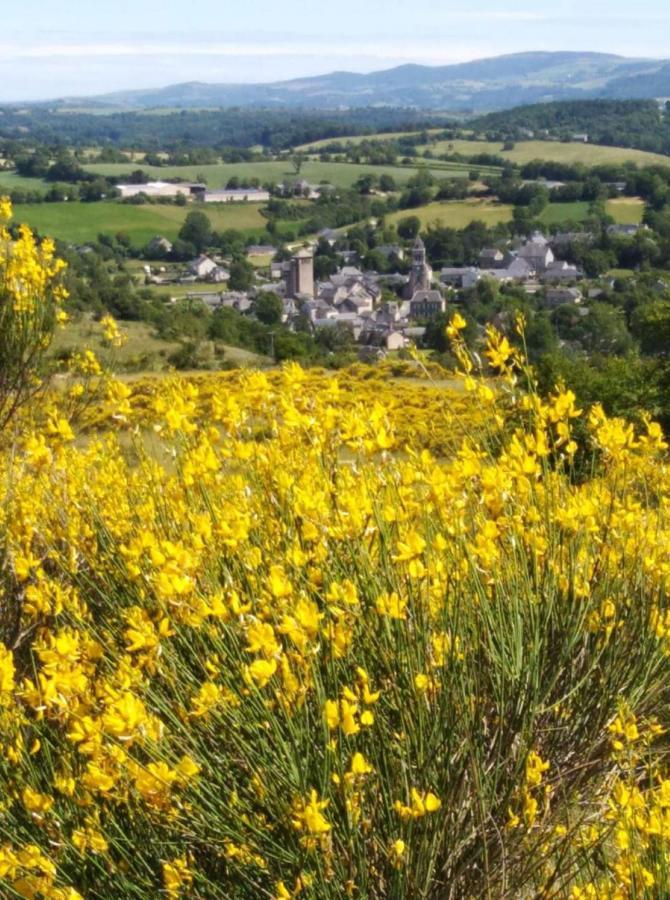 Le Gite De La Vieille Eglise De Coussergues Buitenkant foto
